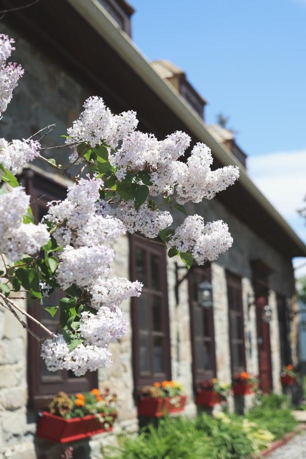 Domaine Steinbach Cidrerie, Gîte et Verger St-Pierre-de-l'Île-d'Orléans Exterior foto